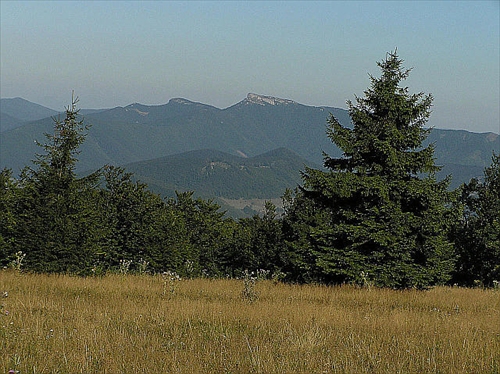 Kľak