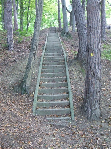 schody do lesa