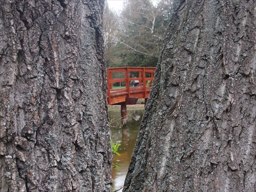 Most pomedzi stromy