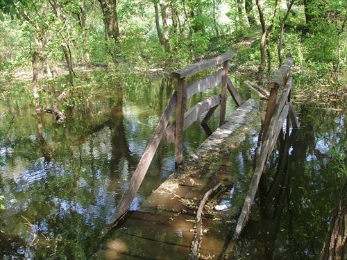 Utopený mostík