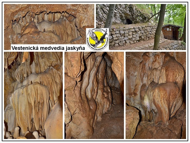 Vestenická medvedia jaskyňa