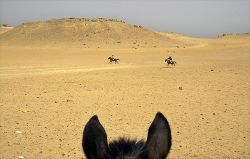 jazdci na púšti