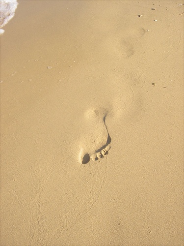 stopa v piesku