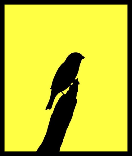 vrabec