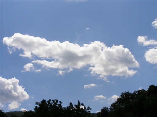 oblak