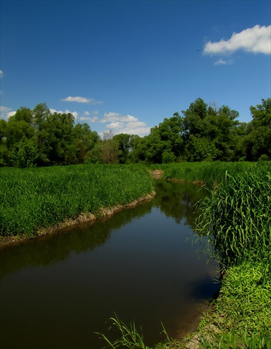 Kanál rieky Morava
