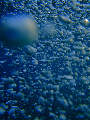 Morské bubliny