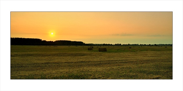 Poľná panorama