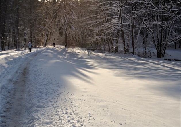 Bežkári