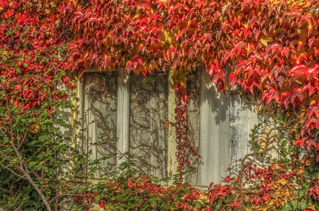Jesenné okno