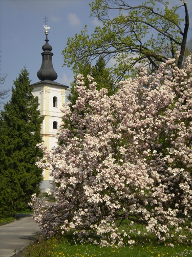 Kostol zahalený jarou