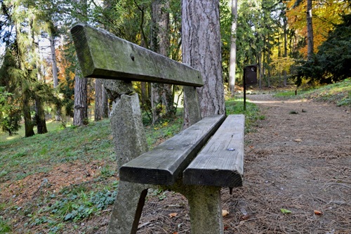 lavička v parku
