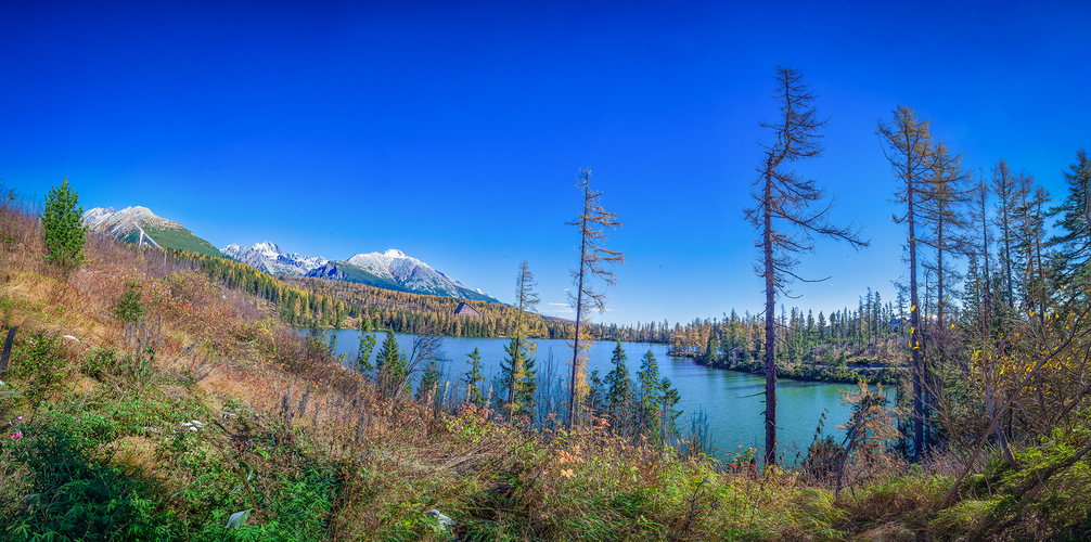Štrbské pleso