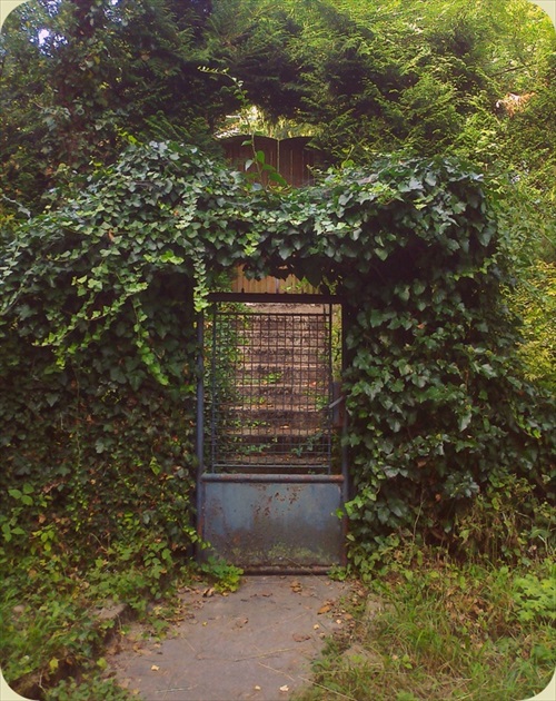 tajomná brána