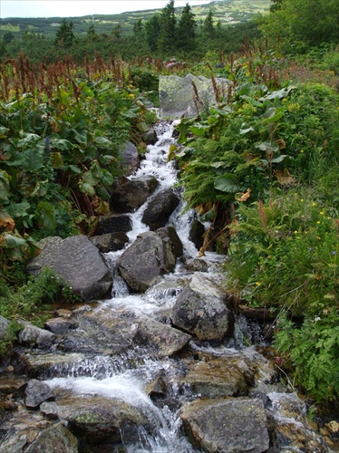 vodopád (na Srdiečku);oprav.:pri Kosodrevine