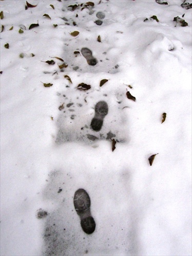 stopy v snehu