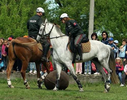 Policia športuje