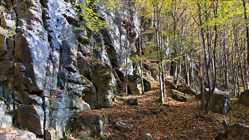 Rock and Mountain