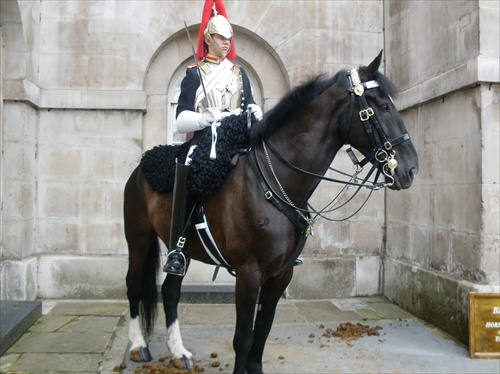 kráľovská stráž na koni - LONDON