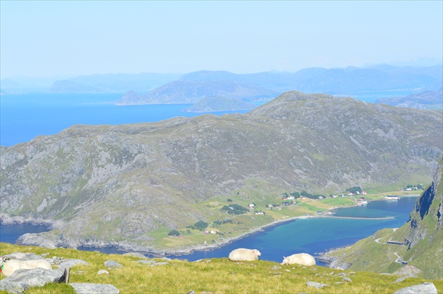 Ovečky, fjord a koniec sveta...