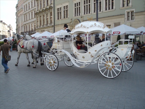 V uliciach Krakowa