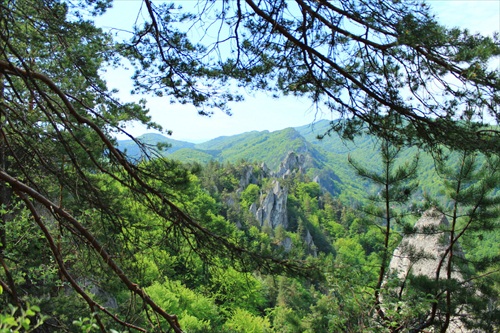 Súľovské skaly I.