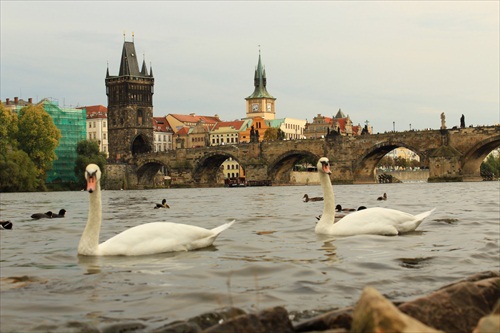 Praha Karlov most