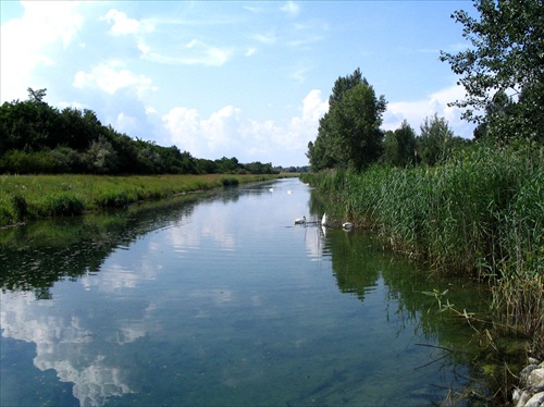 Dunajský kanál