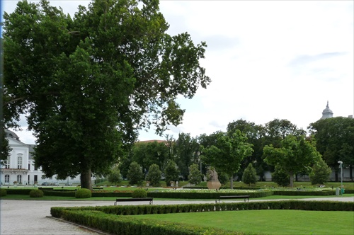 Zahrada prez paláca