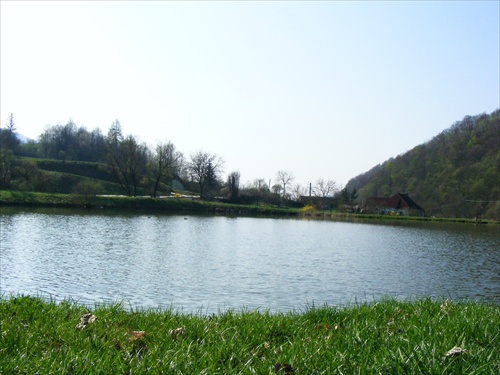 Tisovský rybník