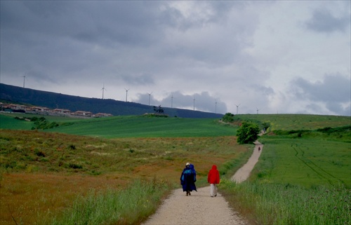 Camino de Santiago (8)