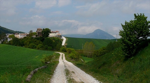 Camino Aragones (33) -  Monte Higa