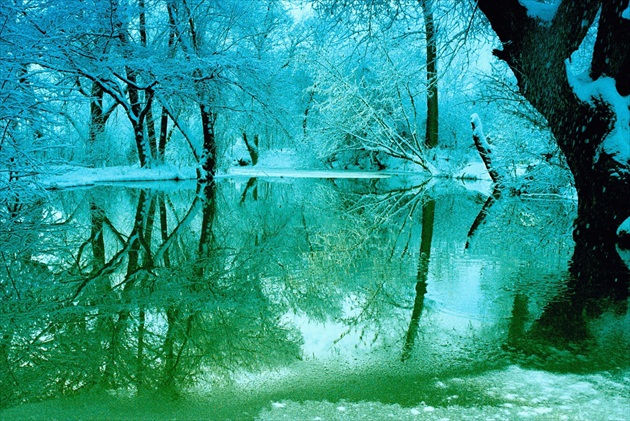 Zimná rozprávka pri rybníku