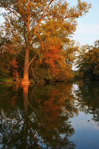 Na rybách