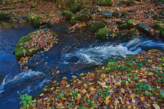 Potok v jeseni
