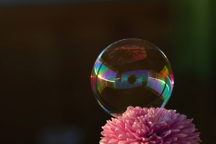 Symetria a asymetria