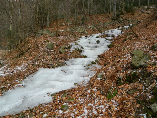 ľadový potok
