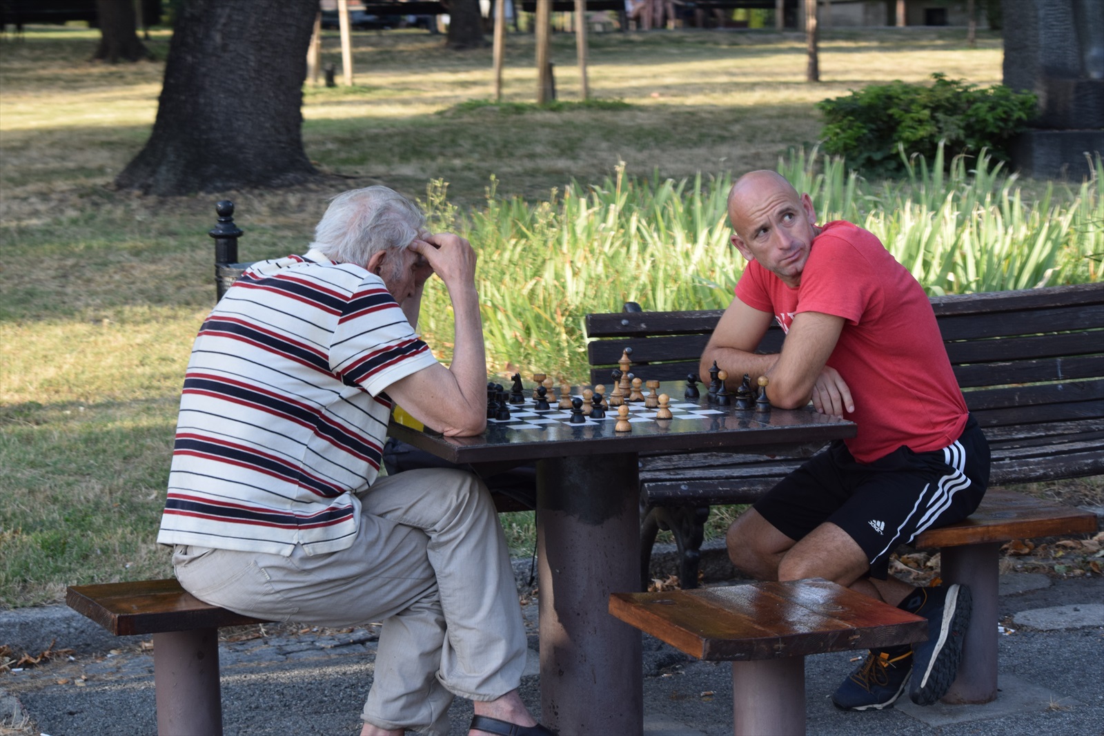šach v parku