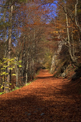 Kvačianskou dolinou