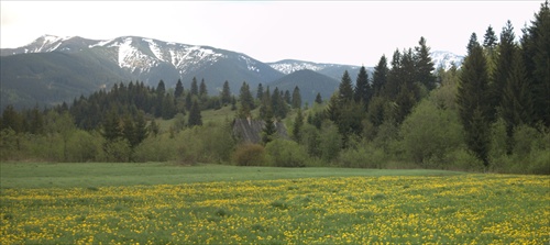 spomienka na jar