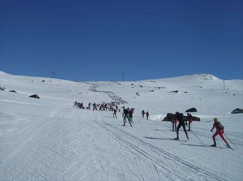 Skarverrenet 2 007