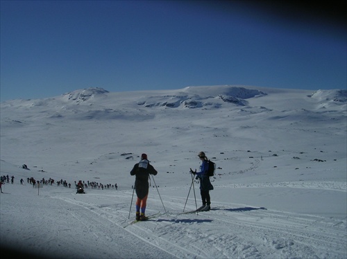 Skarverrenet 2 007