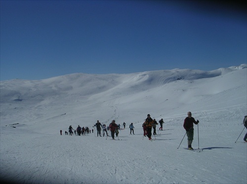 Skarverrenet 2 007