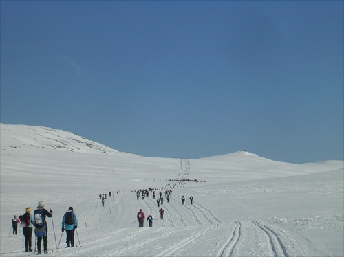 Skarverrenet 2 007