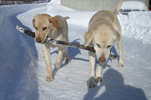 Lakki&Sela