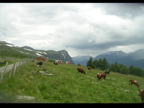 farma na hranici lesa v Hemsedale