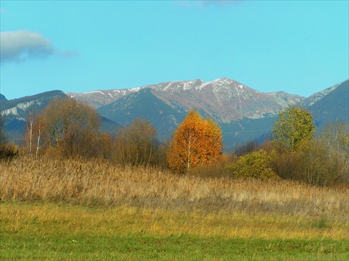 za našou záhradou