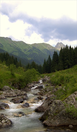 Tichý potok vo Vysokých Tatrách