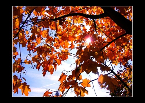 Slnko a jeseň