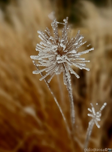 . -1°C .